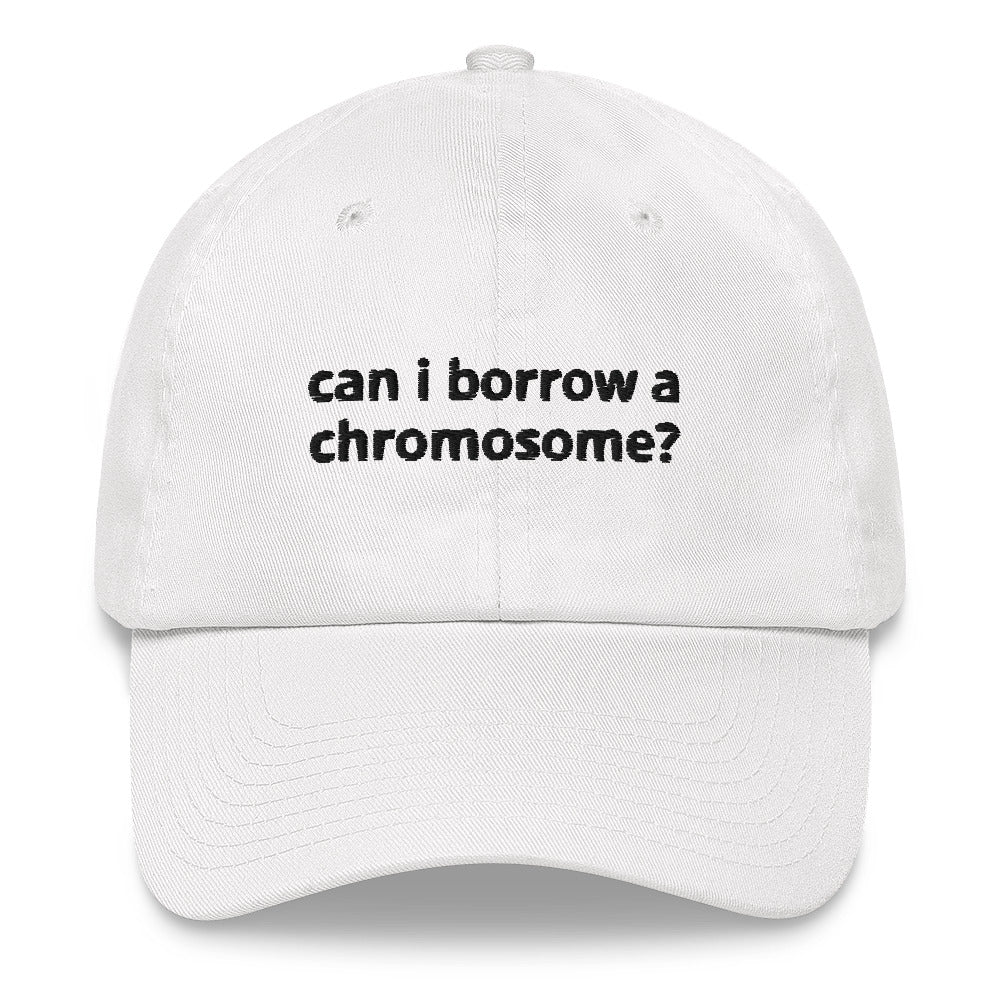 "Can I Borrow a Chromosome?" Dad Hat