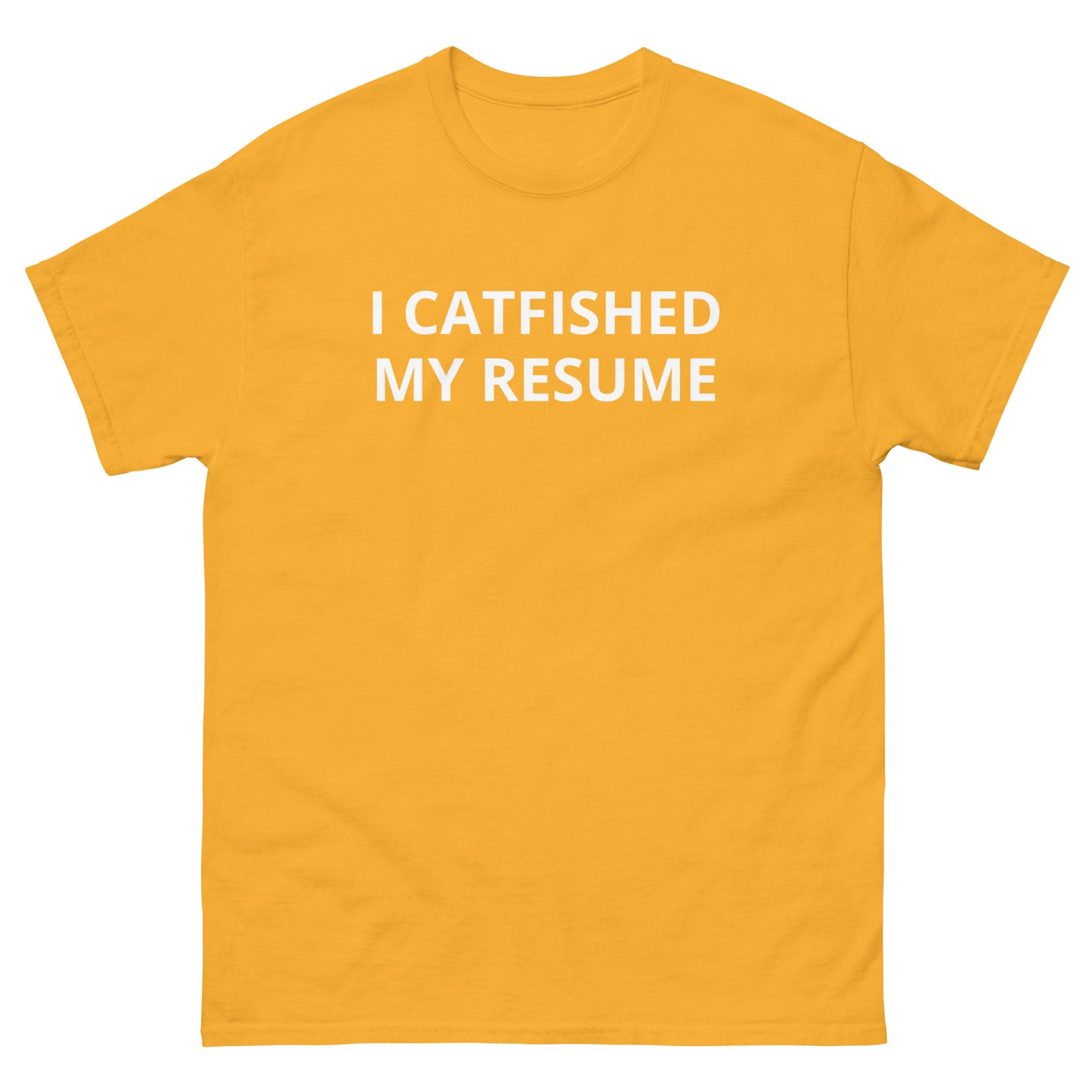 I Catfished My Resume