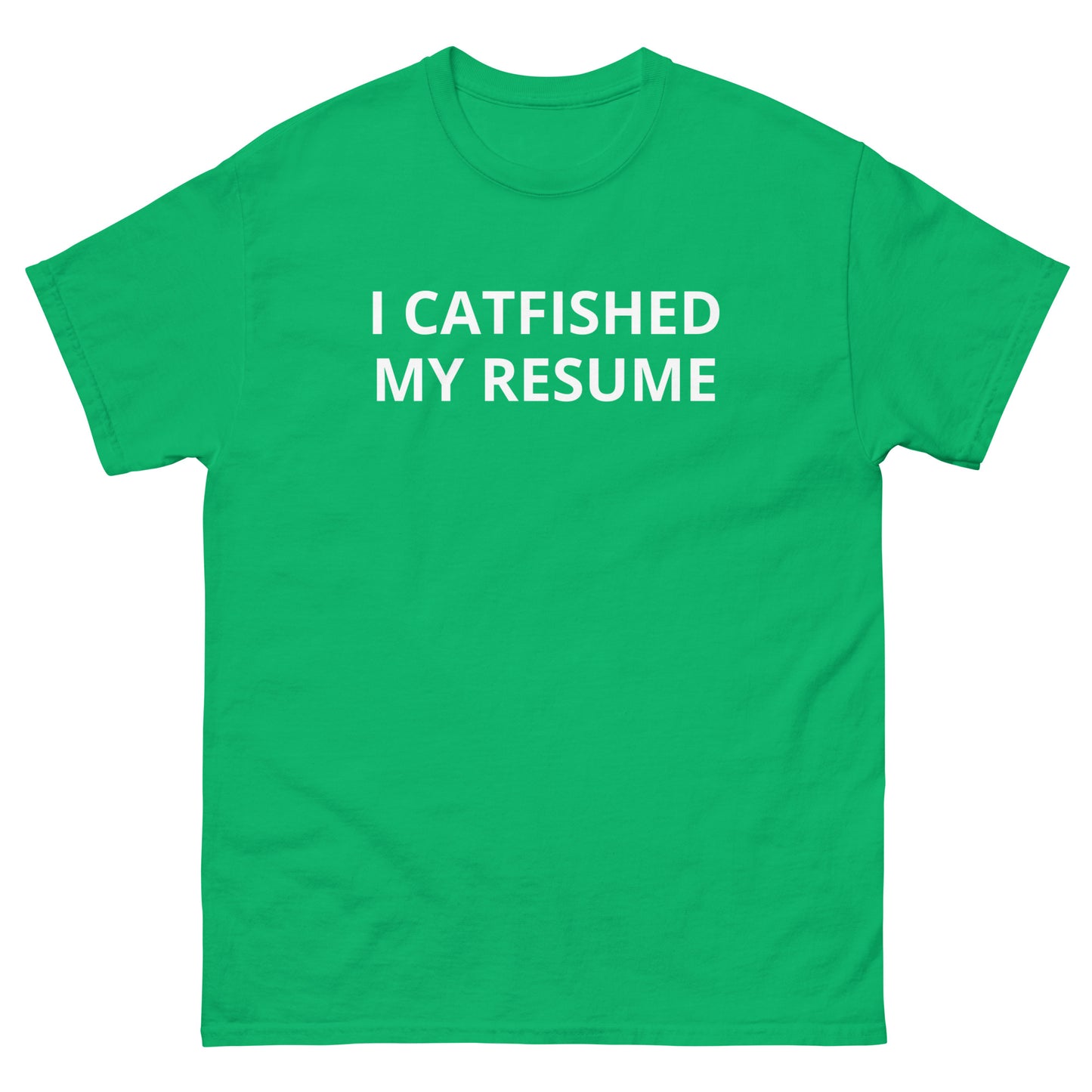 I Catfished My Resume