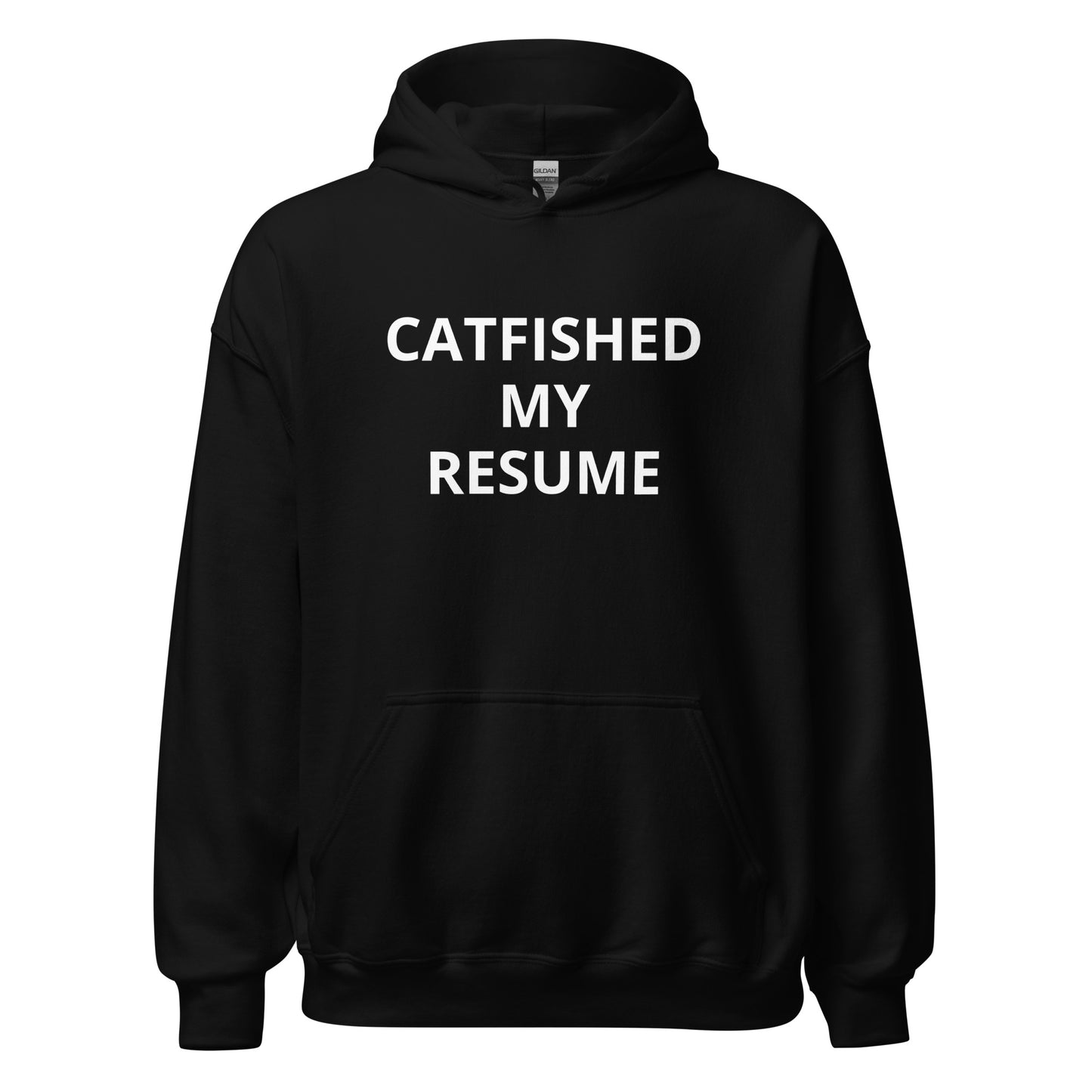 Catfished My Resume Hoodie