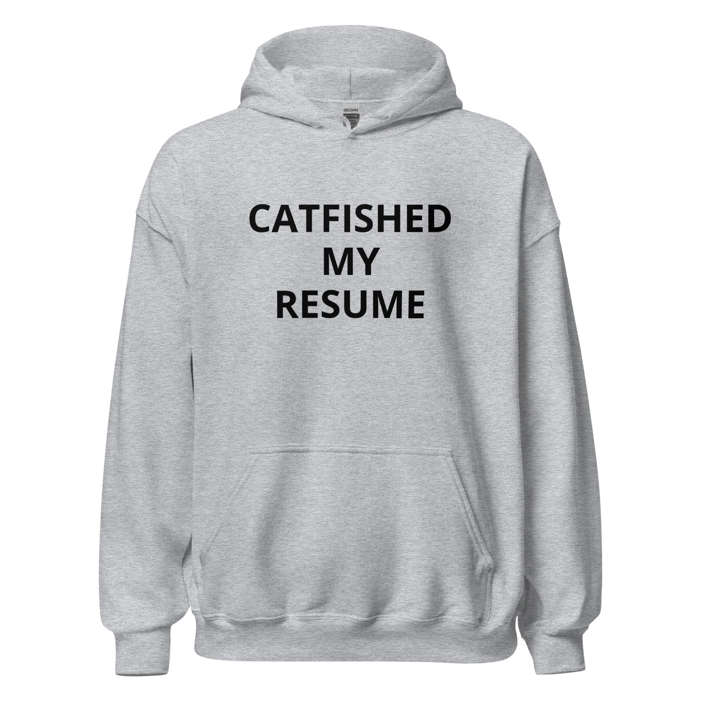 Catfished My Resume Hoodie