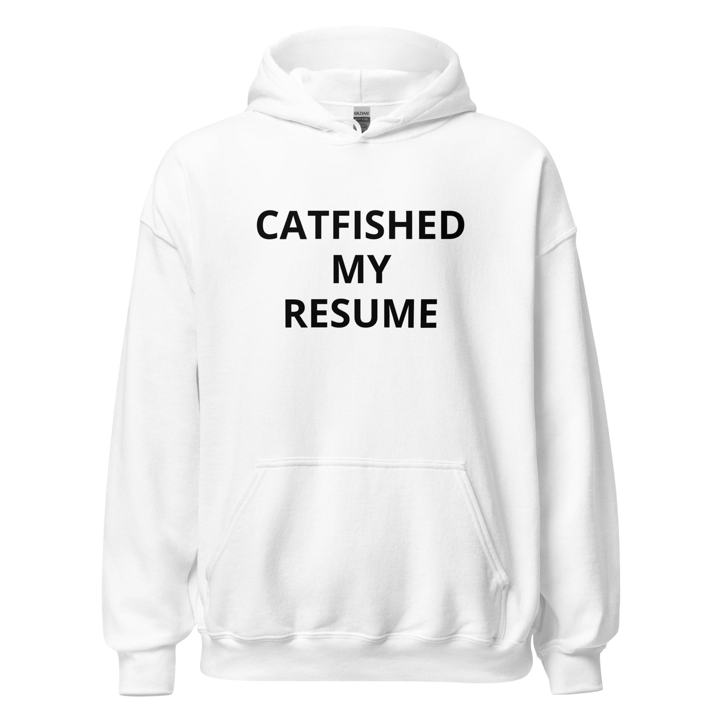 Catfished My Resume Hoodie