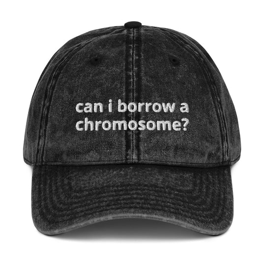 "Can I Borrow a Chromosome?" Vintage Hat