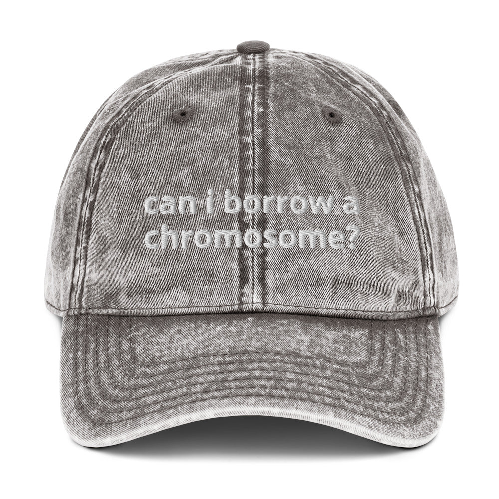 "Can I Borrow a Chromosome?" Vintage Hat