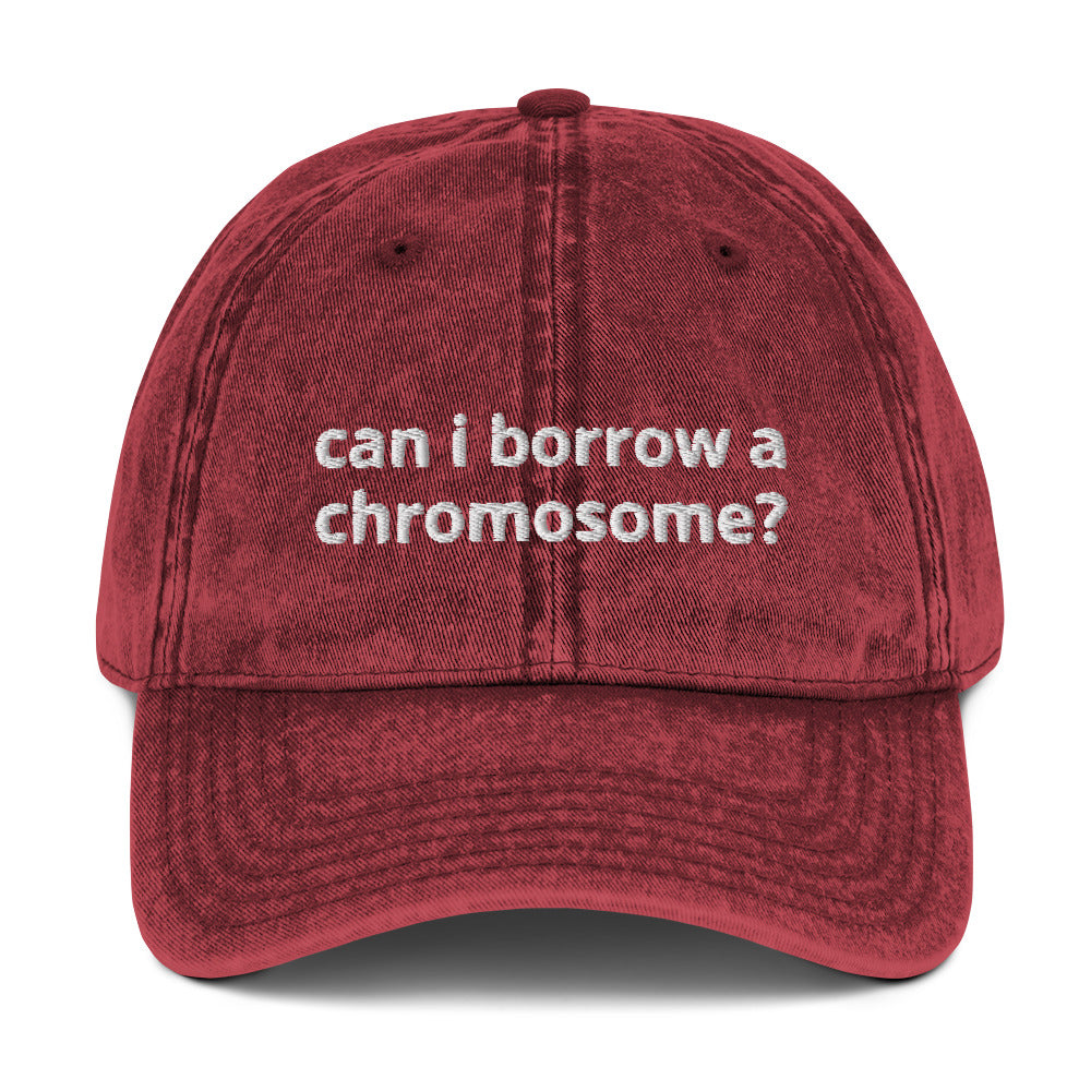 "Can I Borrow a Chromosome?" Vintage Hat