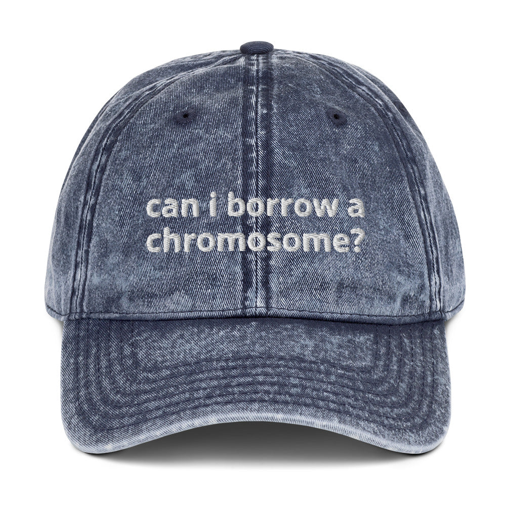 "Can I Borrow a Chromosome?" Vintage Hat